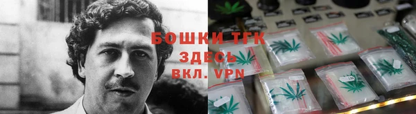 прущий лед Каменка