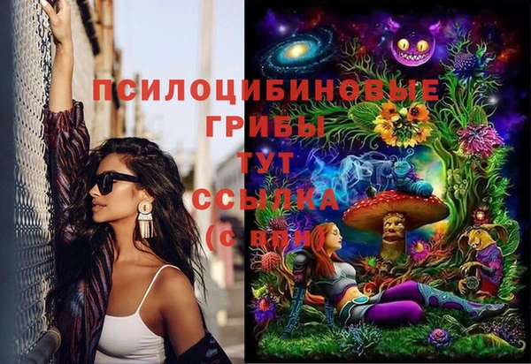 PSILOCYBIN Армянск