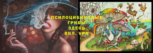 скорость Алексин