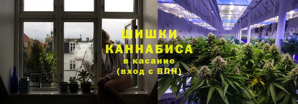 PSILOCYBIN Армянск