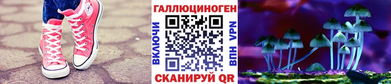 Псилоцибиновые грибы Psilocybe Белоусово